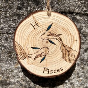 Signe Astrologique – Poisson