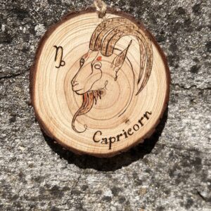 Signe Astrologique – Capricorne