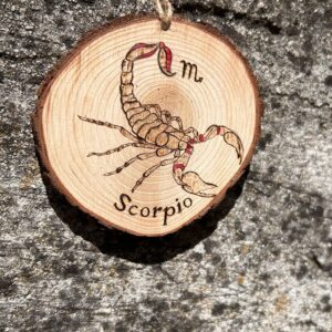 Signe Astrologique – Scorpion
