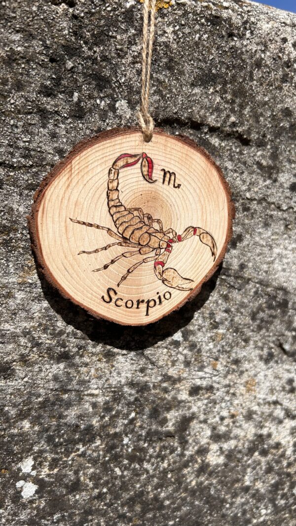 Signe Astrologique - Scorpion