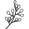fleur (2) fleur (2)
